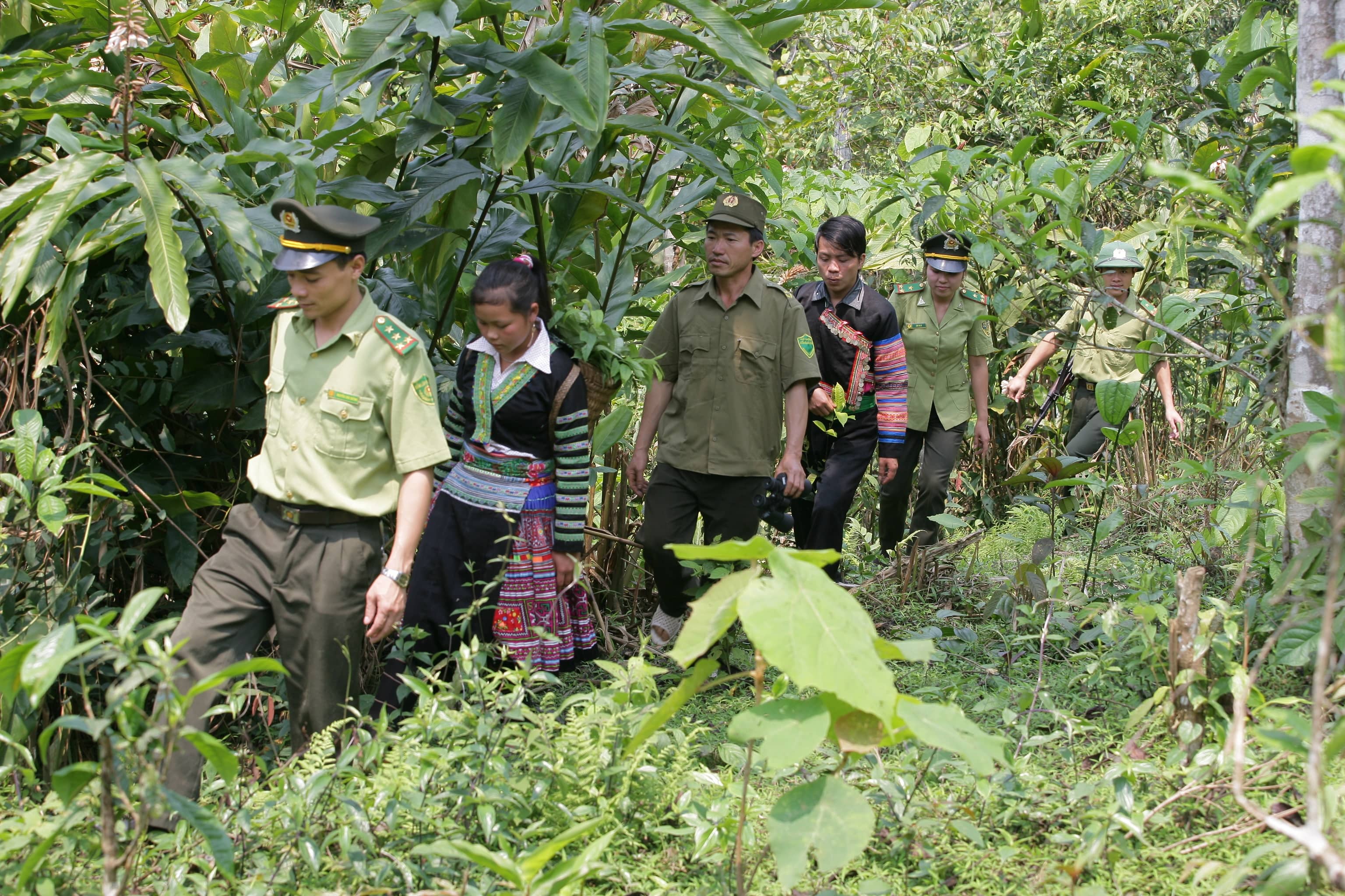 Nâng cao năng lực cho cộng đồng trong công tác quản lý bảo vệ rừng gắn với chi trả dịch vụ môi trường rừng trên địa bàn tỉnh Yên Bái